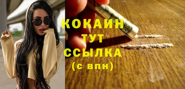 трава Абаза