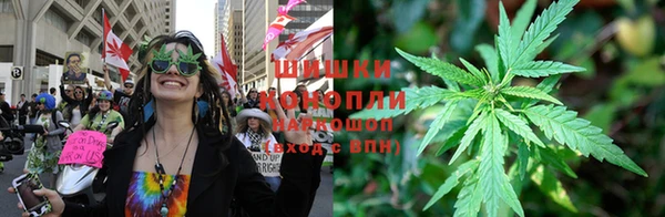 трава Абаза